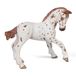 Papo - Realistische Appaloosa veulen figuur - 3 jaar en ouder - Paarden en pony's collectie - Creatief spel paardenwereld - Cadeau-idee speelgoed voor meisjes en jongens