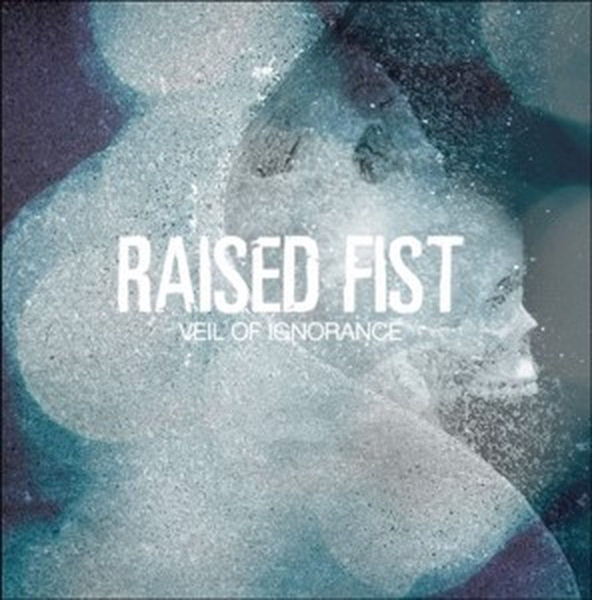 PIAS Nederland Raised Fist - Veil Of Ignorance (CD)