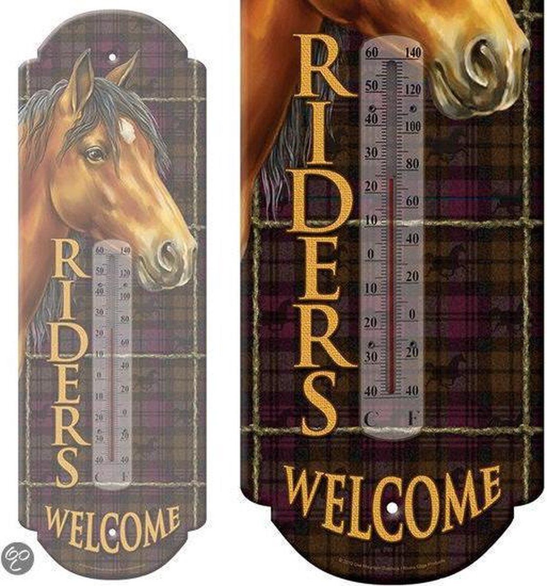 Hengeldiscount Thermometer Bruin Metaal