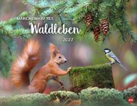 Vadim Heye Vadim Trunov: Märchenhaftes Waldleben Posterkalender 2027
