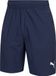 PUMA teamFINAL Shorts für Herren