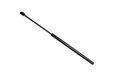 TarosTrade 229-0668-N-74933 gasveer voor de achterklep Forza 300N