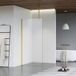 FortiFura Galeria inloopdouche - 100x200cm - mat glas - plafondarm - PVD - geborsteld messing (goud)