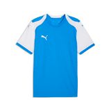 Puma Heren Teamfinal26 gebreide jersey truien (Pack van 1)