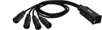 Adam Hall 4 STAR CATBOX XM3 - Audio & DMX Adapter 3-polig XLR mannelijk x Cat.6a