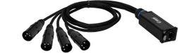 Adam Hall 4 STAR CATBOX XM3 - Audio & DMX Adapter 3-polig XLR mannelijk x Cat.6a