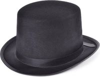 Merkloos Carnaval verkleed hoge hoed - zwart - satijn look - volwassenen