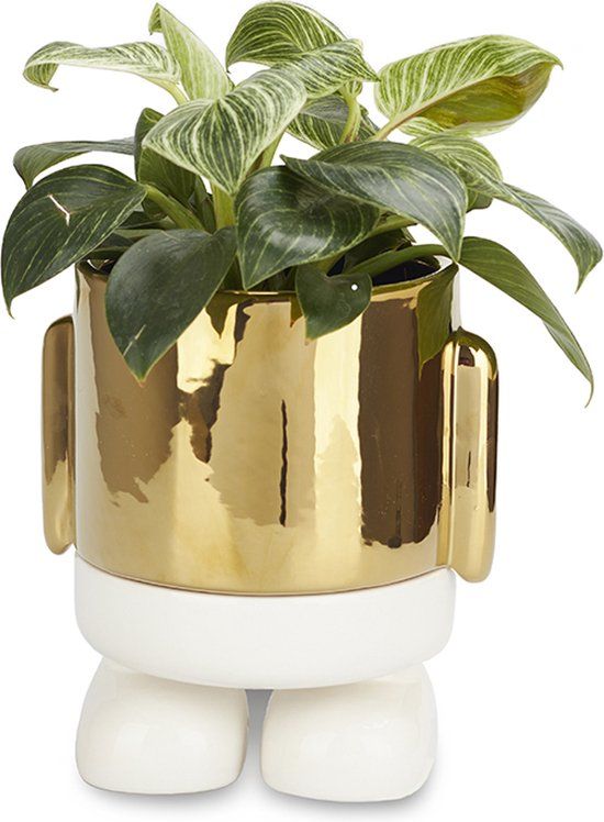 Balvi Mr. Standy Bloempot - Goud