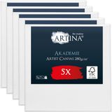 Artina Akademie – Set van 5 Schilderdoeken Canvas 20x20 cm – Spieraam van FSC® Hout – Wit Canvas 100% Katoen – 280 g/m133