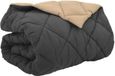 vidaXL Hiver couette 200 x 220 cm 450 g/m² Microfibre