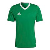 adidas Performance Entrada 22 Voetbalshirt Heren Groen S