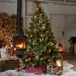 LOBERON Kerstboom Aure groen 180 cm