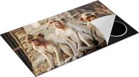 Chefcare Inductie Beschermer Drie Kleine Apen - 89,6x51,6 cm