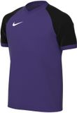 Nike T-shirt Kinderen Dri-FIT Trophy VI Paars - Maat XL