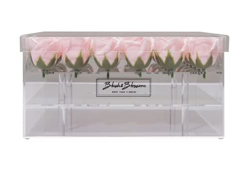 Blush & Blossom Rose Fleurs - 36 Pièces - Boîte Transparente - Blush