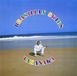 Brasilian Universal Music LLC Brasilian Skies CD