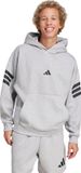 adidas Sportswear Future Icons 3-Stripes Hoodie Heren Grijs