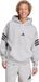 adidas Sportswear Future Icons 3-Stripes Hoodie Heren Grijs