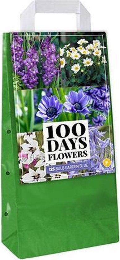 Jub Holland bloembollen - Garden Blue mix - 125 stuks - Dahlia - Zomerbloeiend