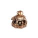 Feng Lachineuse Feng Shui schildpad figuur - decoratieve schildpad op Bagua - symbool van duurzaamheid, rijkdom, welvaart - bescherming van huis en familie - 5 x 5 x 5,5 cm - Aziatisch - goudkleur