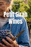 Petit Sirah Wines