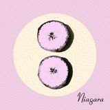 Konkurrent Niagara - Otto (CD)
