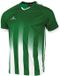 Stanno Vivid Shirt - Groen/Wit - Maat L