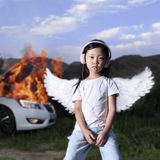 Bertus Distributie The Garden Car - Harmony (CD)