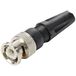 TRU COMPONENTS TC-9990288 Connecteur BNC, droit 1 pièce