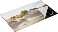 Chefcare Inductie Beschermer Zand Duinen aan het Strand - 90x55 cm