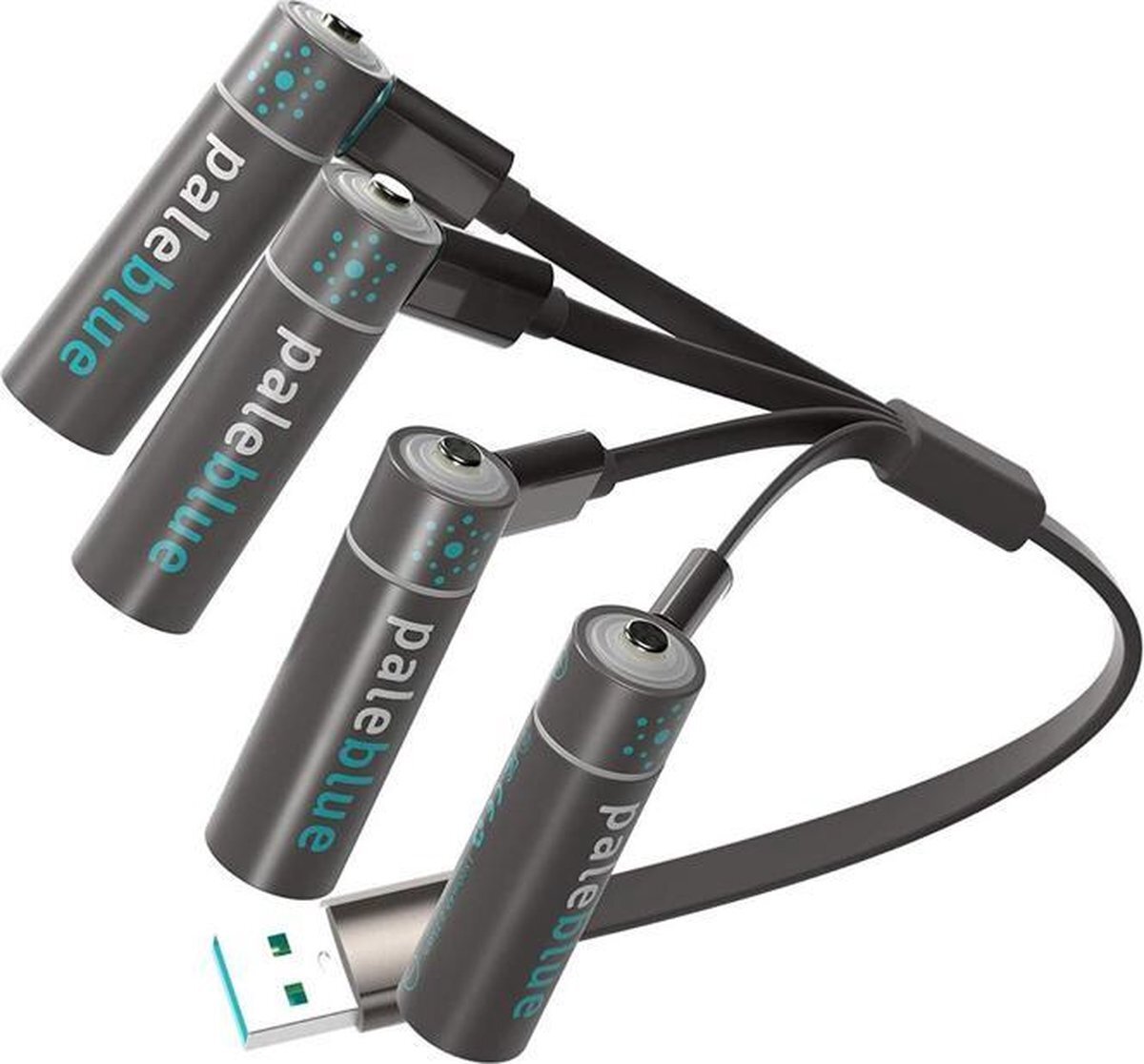 Pale Blue Earth AA USB oplaadbare batterijen - Lithium - inclusief oplader / oplaadkabel