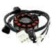 RMS Stator d'allumage pour Scooter 643166 Neuf