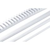 Reely Polyacetaal tandstang module 0.5 (l x b x h) 250 x 4 x 4.5 mm