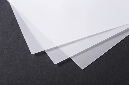 Clairefontaine 93953C - map - 10 vellen - transparant papier - DIN A1 - 59 x 84 cm - 90 g - transparant