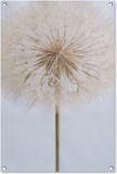 Affiche de jardin - Pissenlit - 60x90 cm - Affiche extérieure - PVC