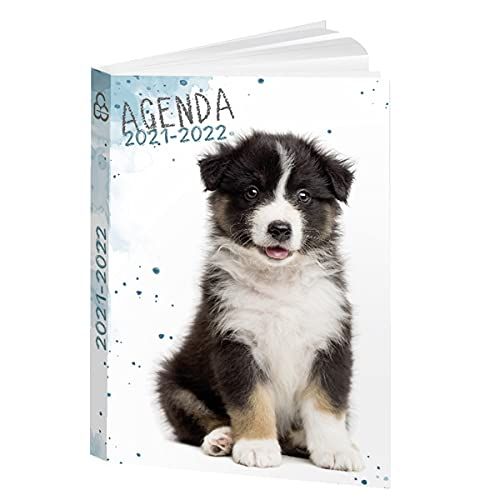 Bouchut Hondenagenda 12 x 17 cm BOUCHUT