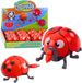 LEAN TOYS Coccinelle à remonter, ses membres et ses ailes bougent