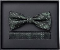 Venti Set met vlinderdas en pochet - groen met blauw en beige dessin
