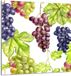 TMK ArtDeko Panneau de cuisine en verre dépoli 60x65 cm Fruit
