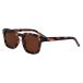 I-sea Blair 2.0 Lunettes de soleil polarisées Transparent Brown Polarized Homme