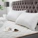 BedStory Bamboevezelkussen, 50 x 70 cm, 2 stuks, met afneembare antimijt kussenslopen, antiallergisch kussen met vulling 10% 7D en 90% 3D-polyestervezel, hotelkwaliteit