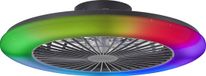 Brilliant Salerno - Plafondventilator - Met verlichting - LED 48W - 3000K-6500K - 58cm - Dimbaar - Zwart