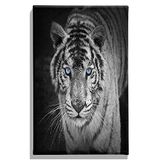 Homemania Muurfoto, Feline-dieren, voor woonkamer, slaapkamer, meerkleurig, 45 x 3 x 70 cm, HM20KNV45 x 70 – 177, polyester, hout