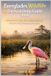 Everglades Independently Published Everglades Wildlife & Birdwatching Guide 2026