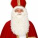 Faram Party Pruik + baard Sint Luxe