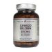 Pureline Nutrition Ginkgo Biloba Ginkgo 500mg, 60 gélules