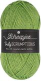 Scheepjes Truly Scrumptious 100gram - 326 Matcha Chiffon Cake