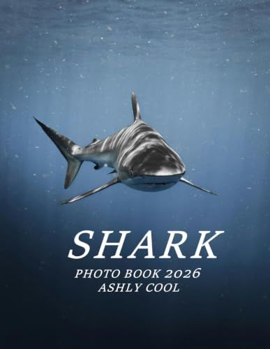 Shark: Cool Pictures That Create An Idea For You About - Perfect Gift for Tourism & Travel Lovers.....Relaxing & Meditation.