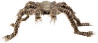 Boland - Decoratie Harige spin Shadebite - Horror - Horror