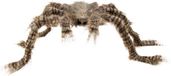 Boland - Decoratie Harige spin Shadebite - Horror - Horror